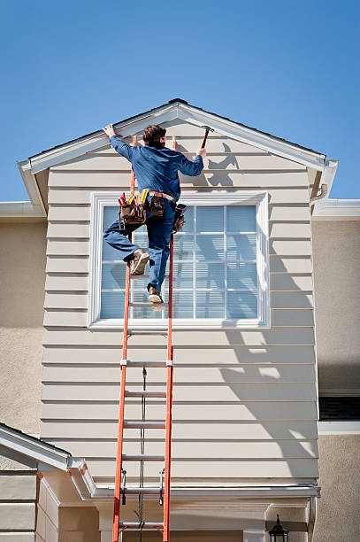 Best Siding Maintenance  in Ludington, MI